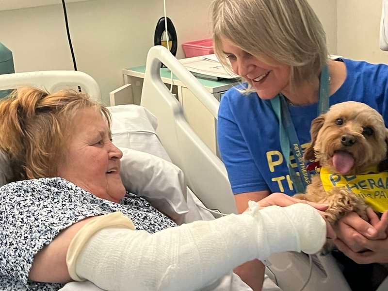 Creature comforts as hospital highlights support for patients with frailty