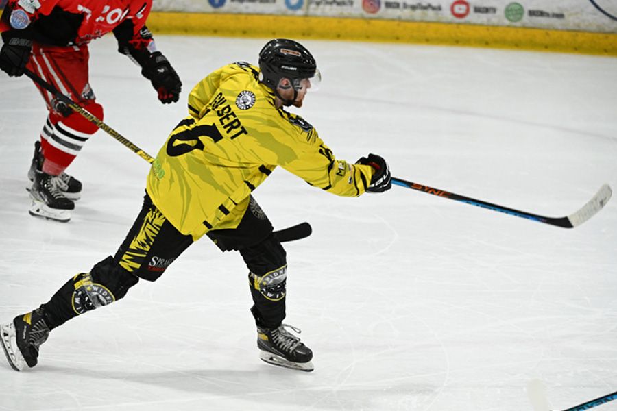 Ice Hockey: Widnes Wild crash out of Moralee Division Play-Offs