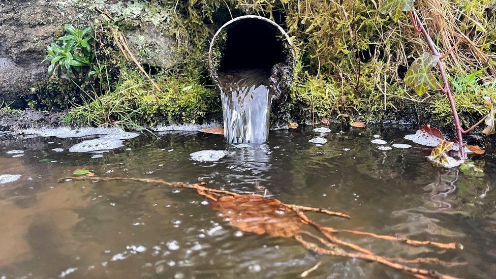 Rochdale MP slams 110 days’ worth of sewage dumped in borough’s rivers last year