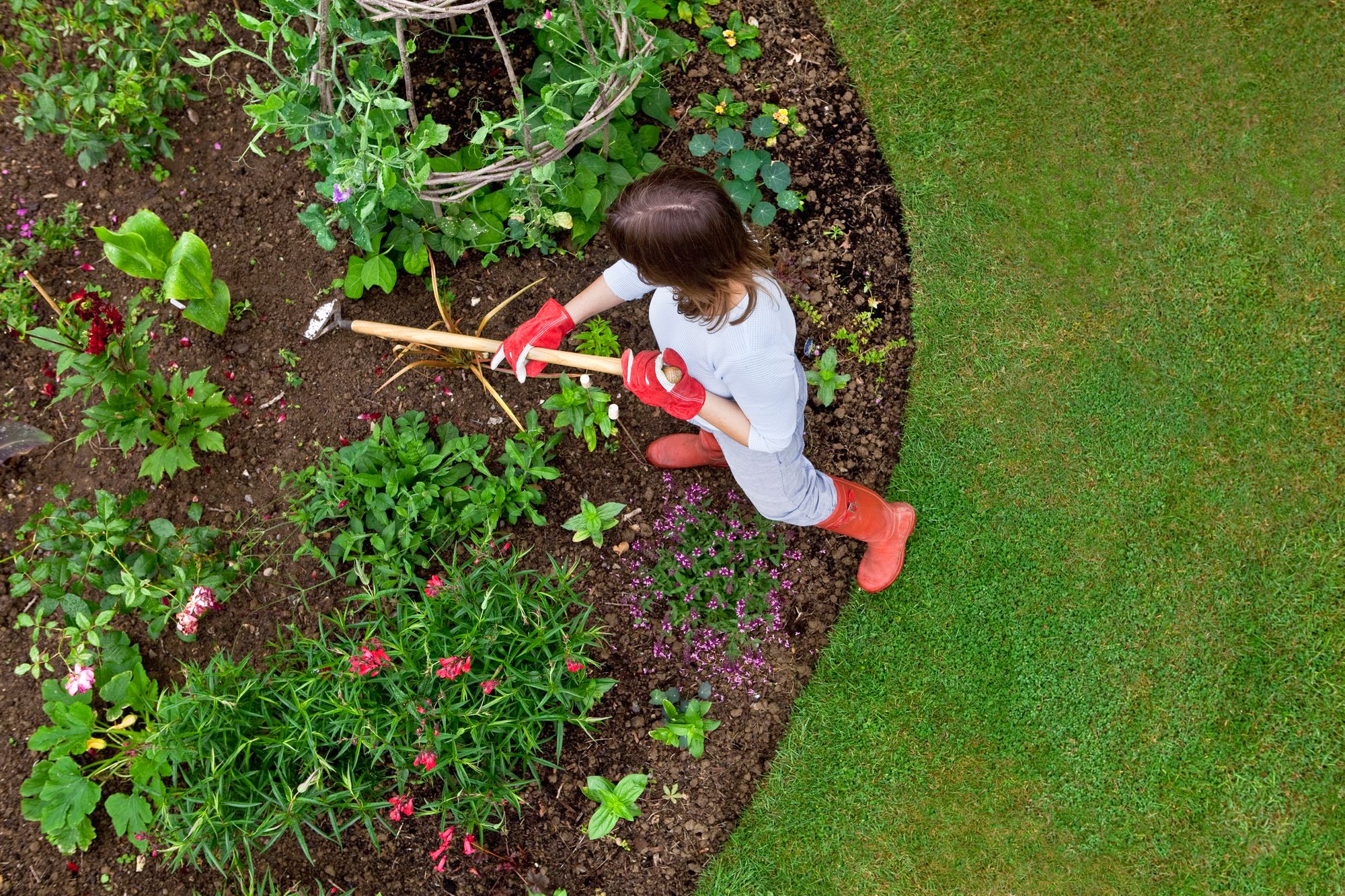 Englefield Garden Greenies need help in fight against climate change