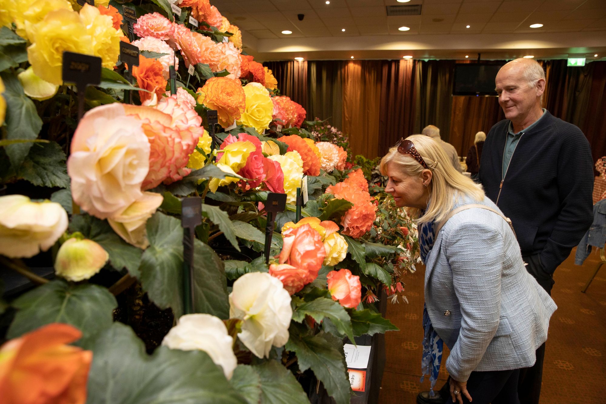 Planning underway for annual Ayr & District Flower Show