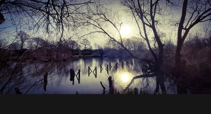 Lane's Lens - April 29: A look across Merseyside through the cameras of local photographers