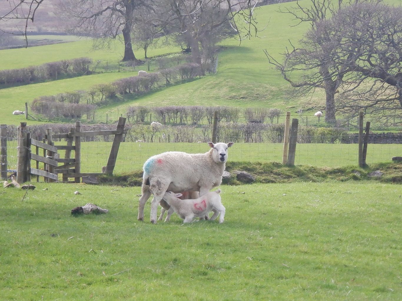 Rossendale Ramblers: Walkers take in the sights of Briercliffe, Bury and Worston