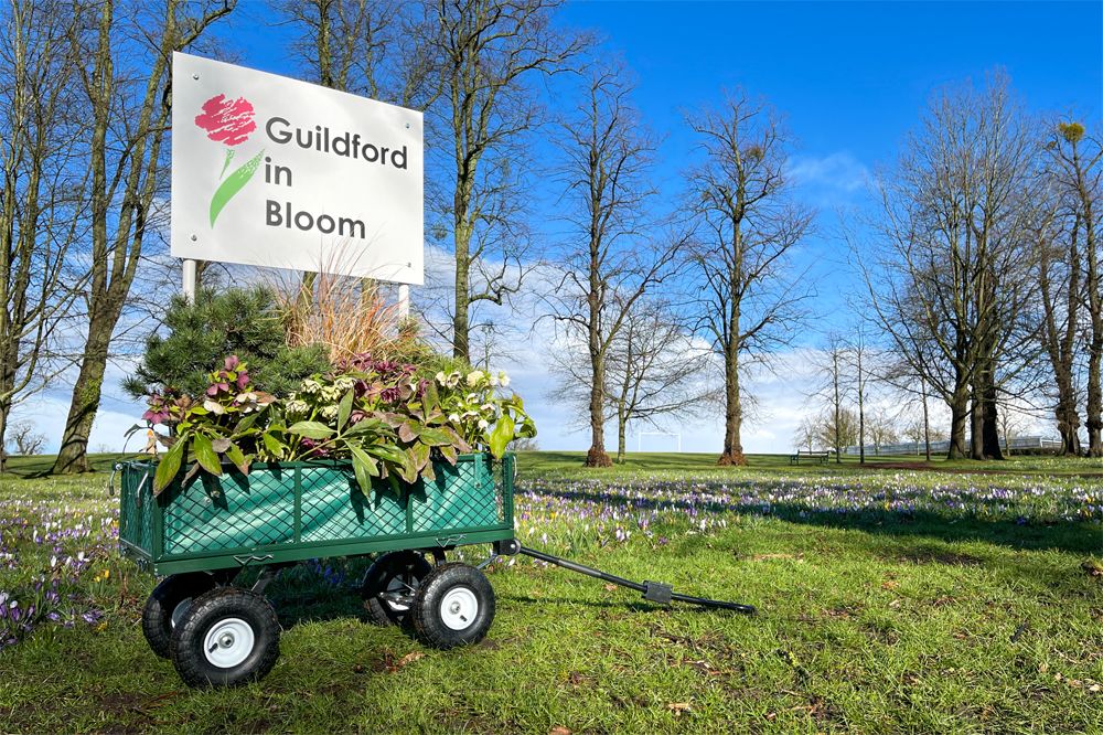 Guildford in Bloom launches crowdfunding appeal to secure its future
