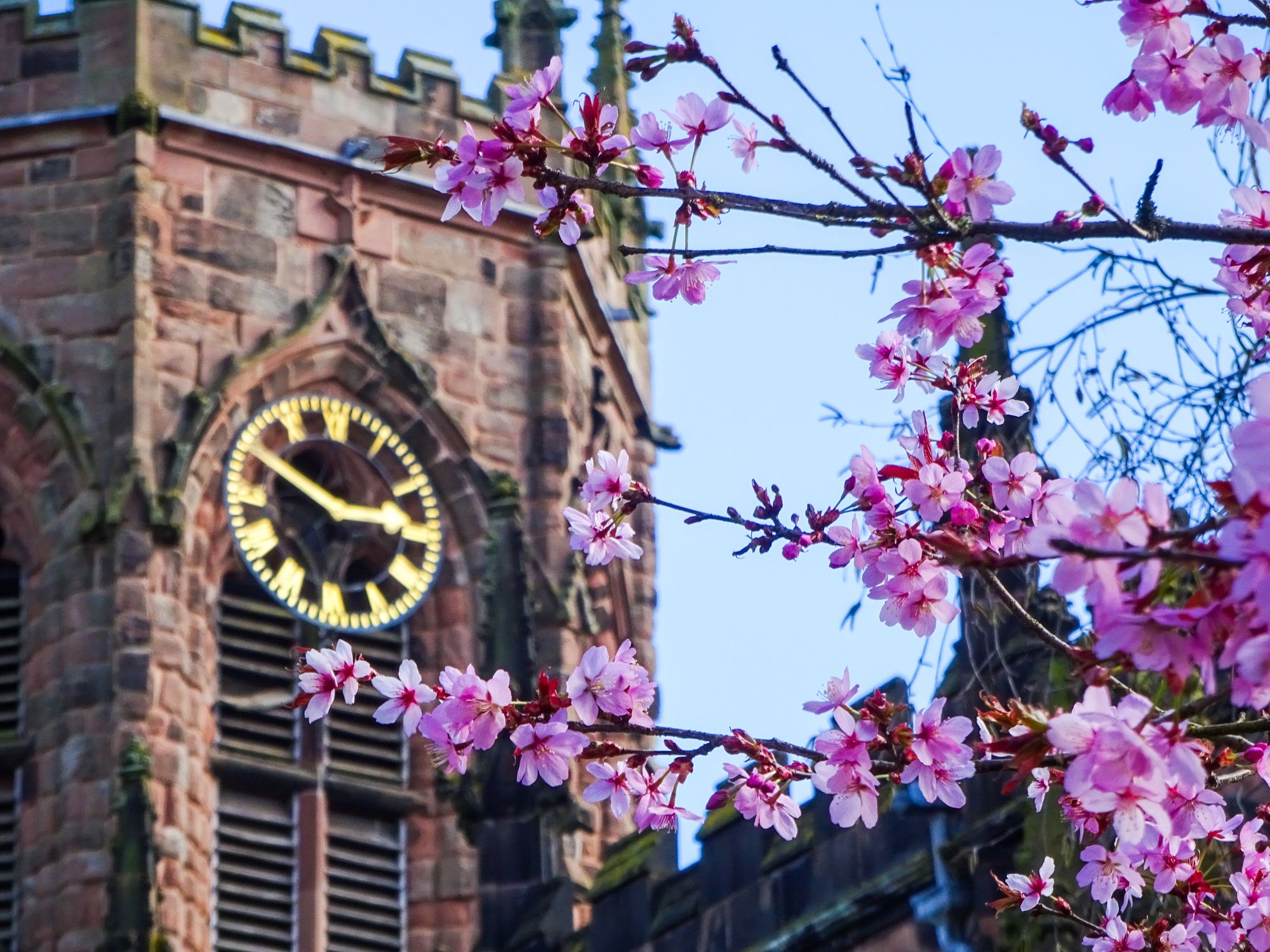 Scene By You Cheshire: April 12, 2023