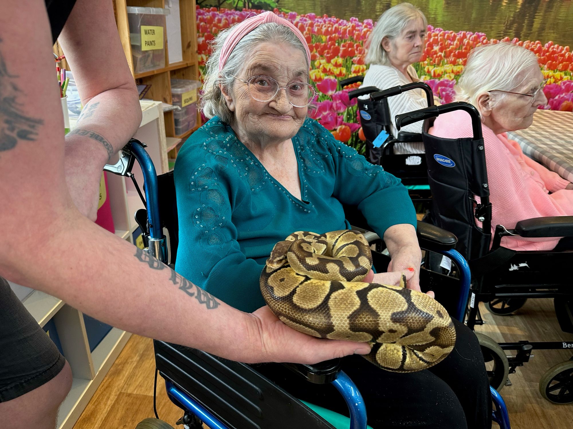Snakes meet Clacton care home residents and help bring back memories