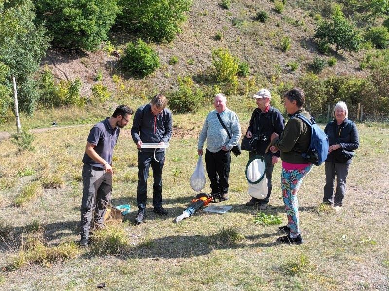 Meet some magnificent minibeasts at Marford Quarry Nature Reserve