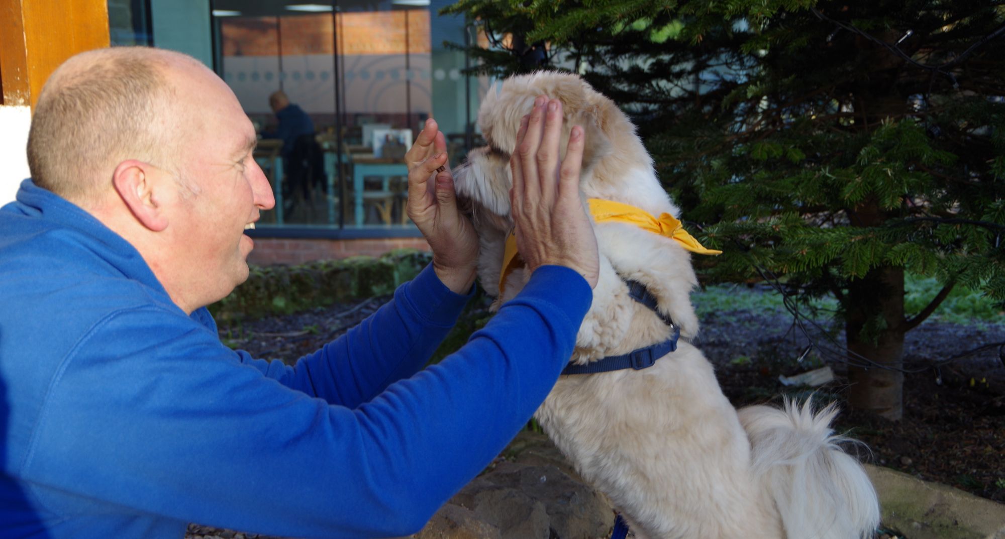 Therapy dogs bring smiles to Wrexham hospice patients