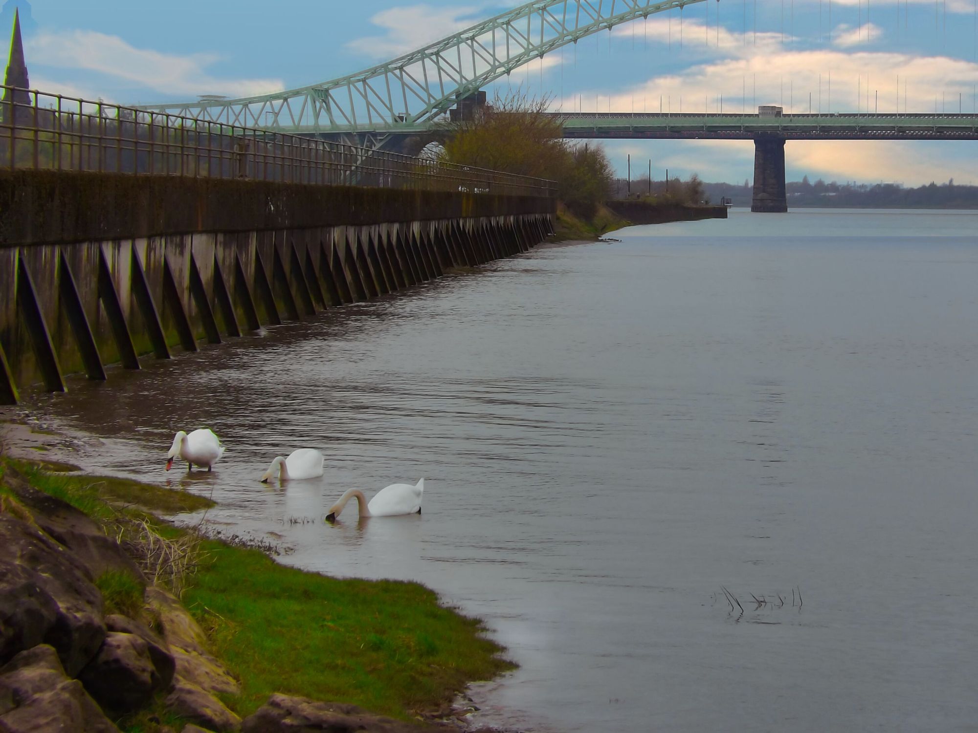Scene By You in Runcorn and Widnes: April 27, 2023