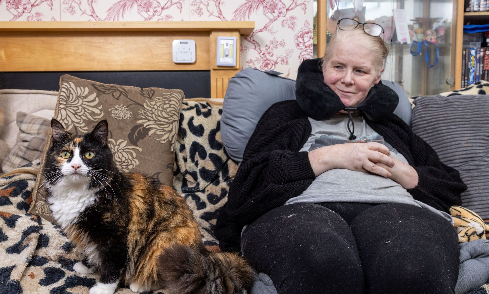Willow the cat branded 'total hero' after saving owner's life in bizarre way