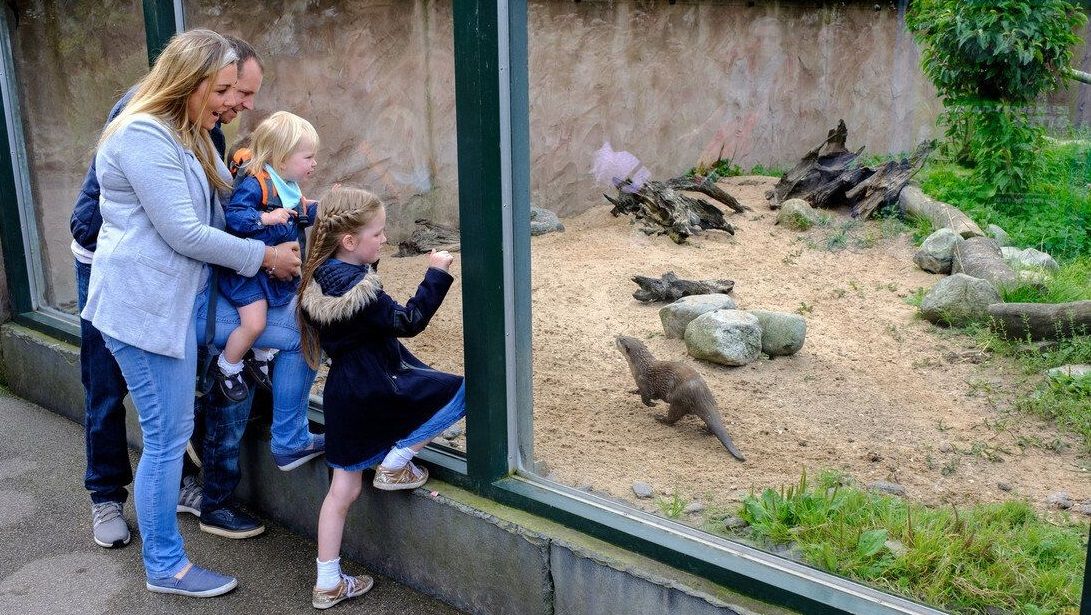 Kids go free at Martin Mere during teachers' strike