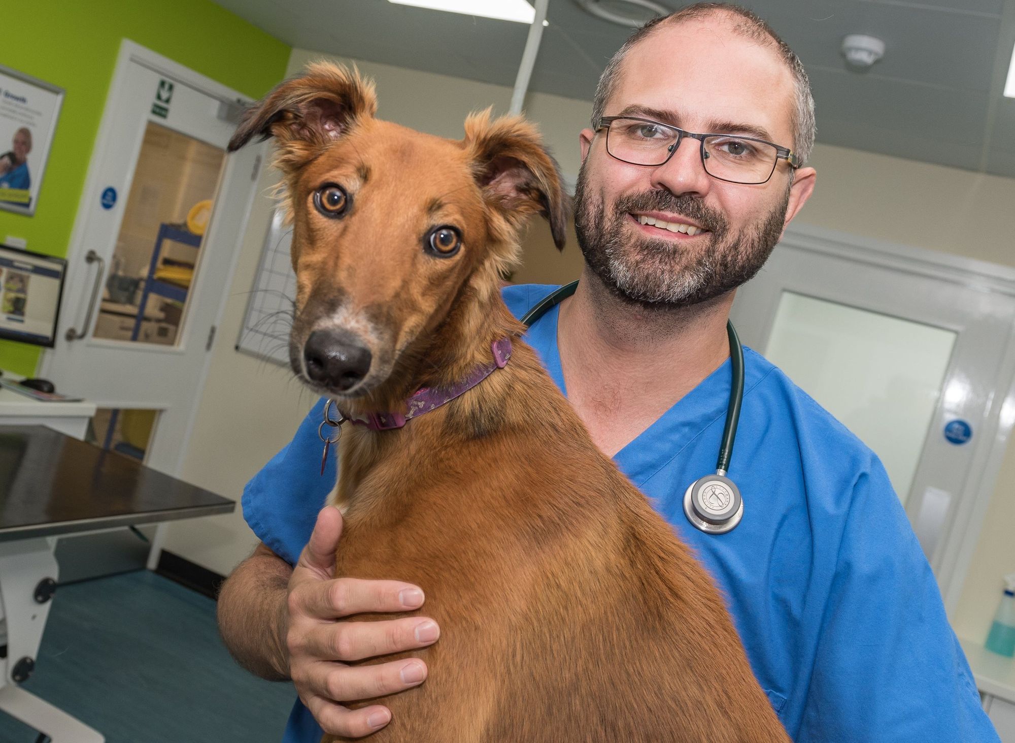 Widnes vets issue tips for potential pet owners