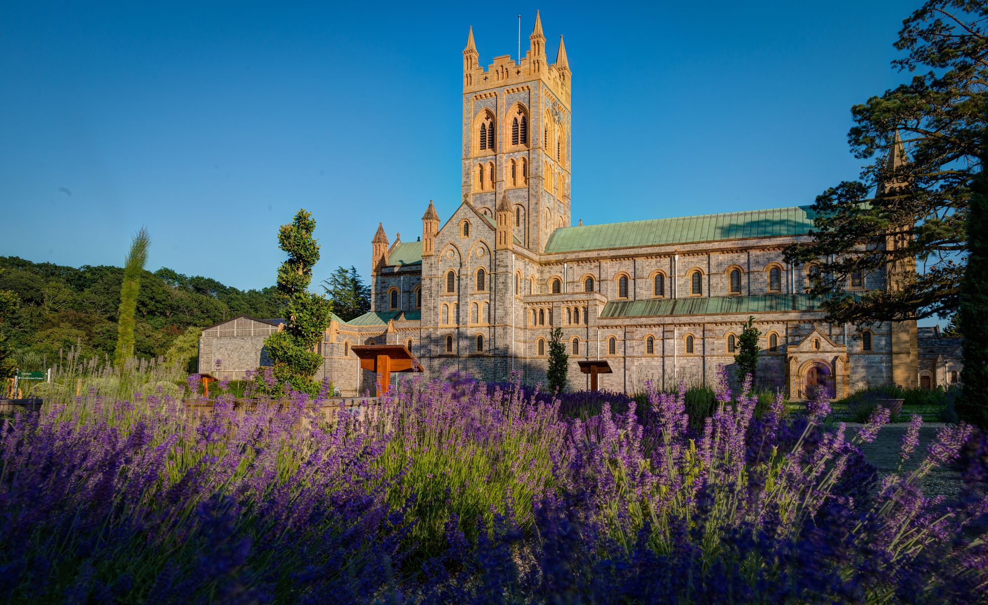 How families can celebrate the King's Coronation in Devon