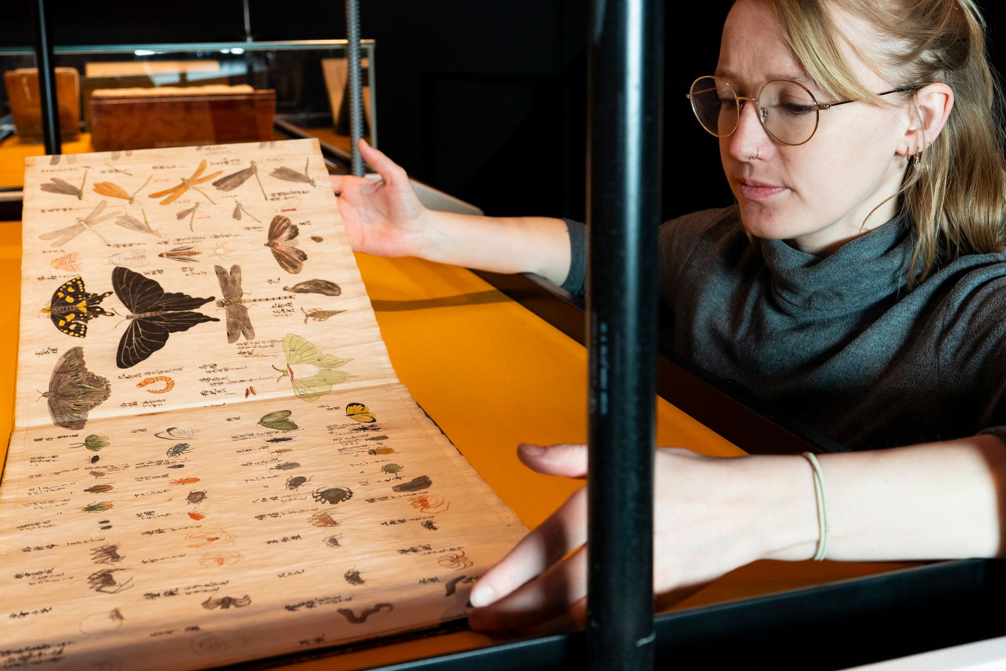 New London exhibition explores science, art and sound in our natural world
