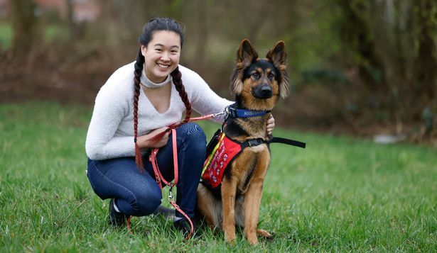 Adorable German Shepherd saves unconscious teenager from flat fire