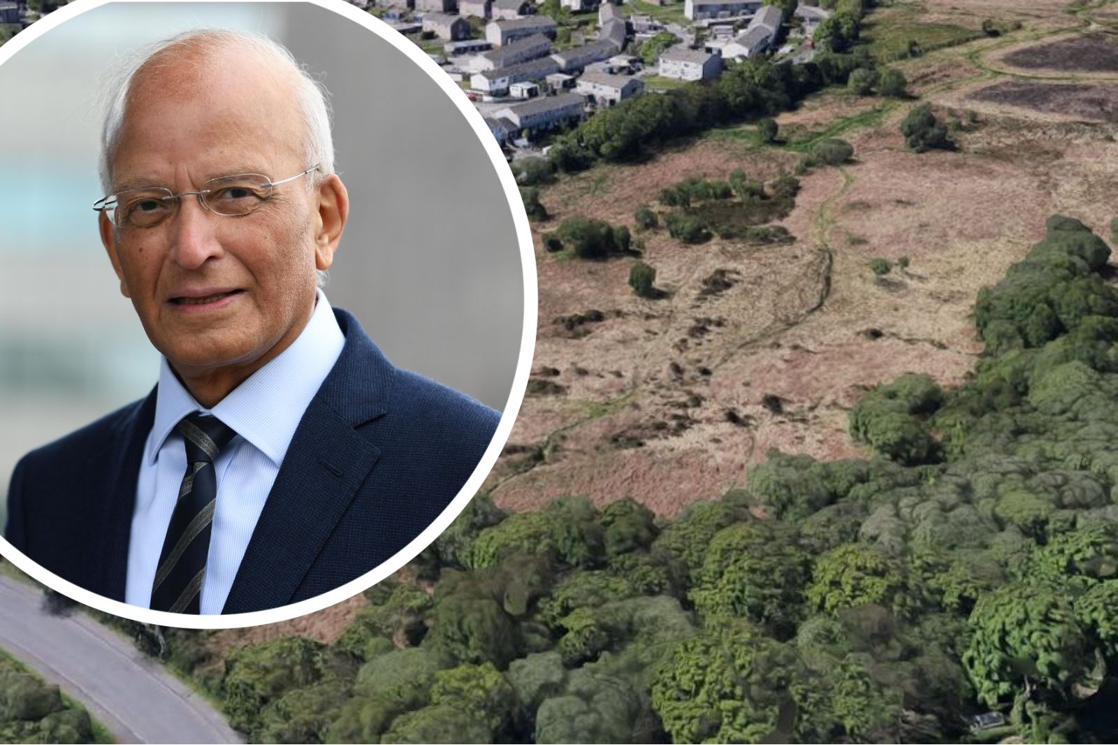 Calls for public inquiry over plans for Swansea’s Clyne Common