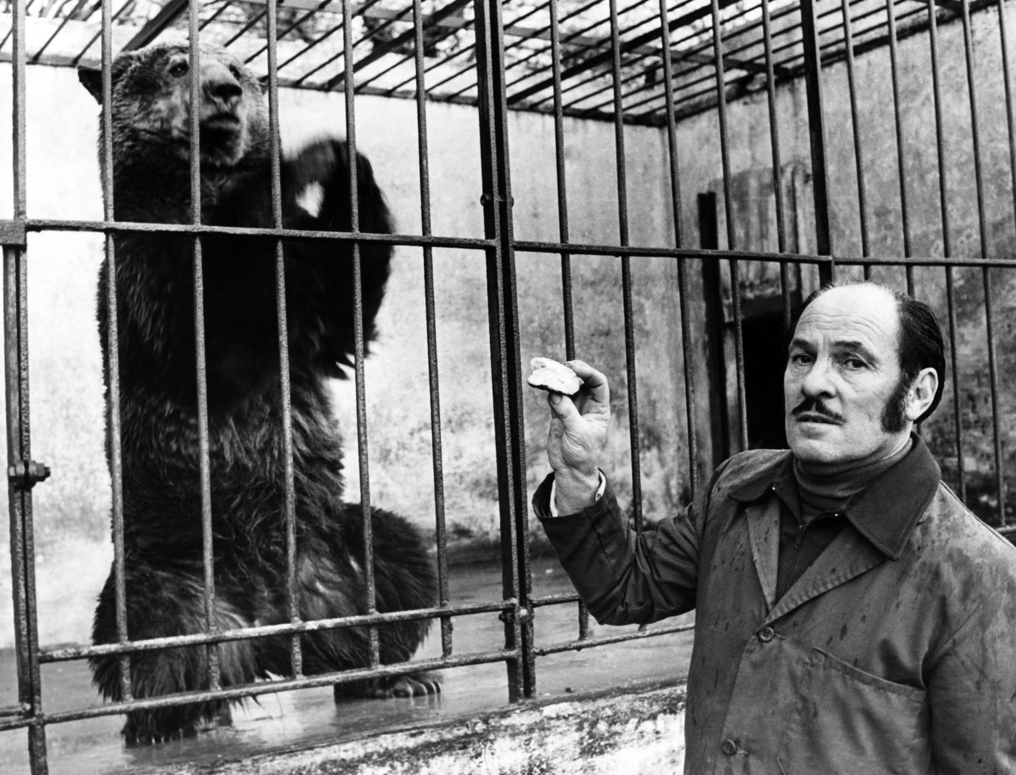 A fond look-back at Cardiff Zoo