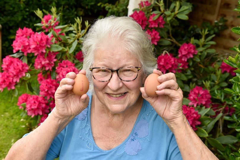 The great egg mystery: Baffled woman discovers dozens of eggs buried in her garden