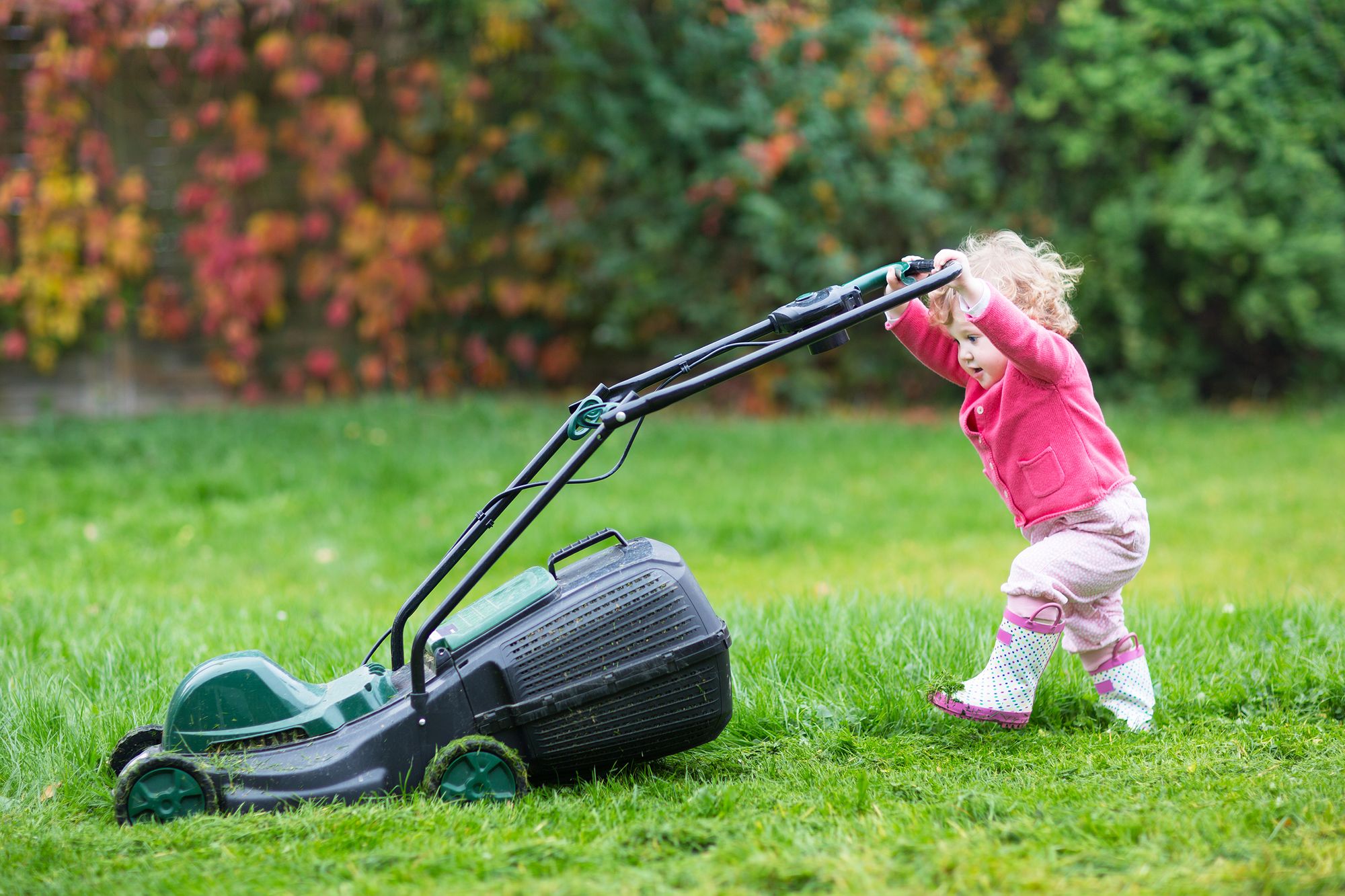 No Mow May: Why Brits are being urged to ditch the lawn mower this month