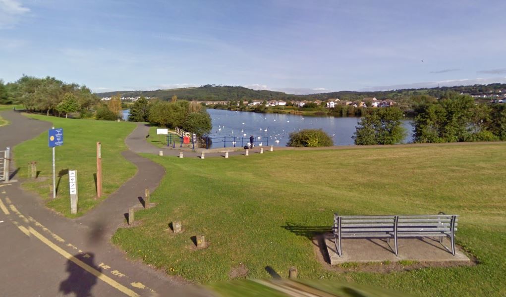 Concern after geese 'killed by catapult' at Llanelli beauty spot
