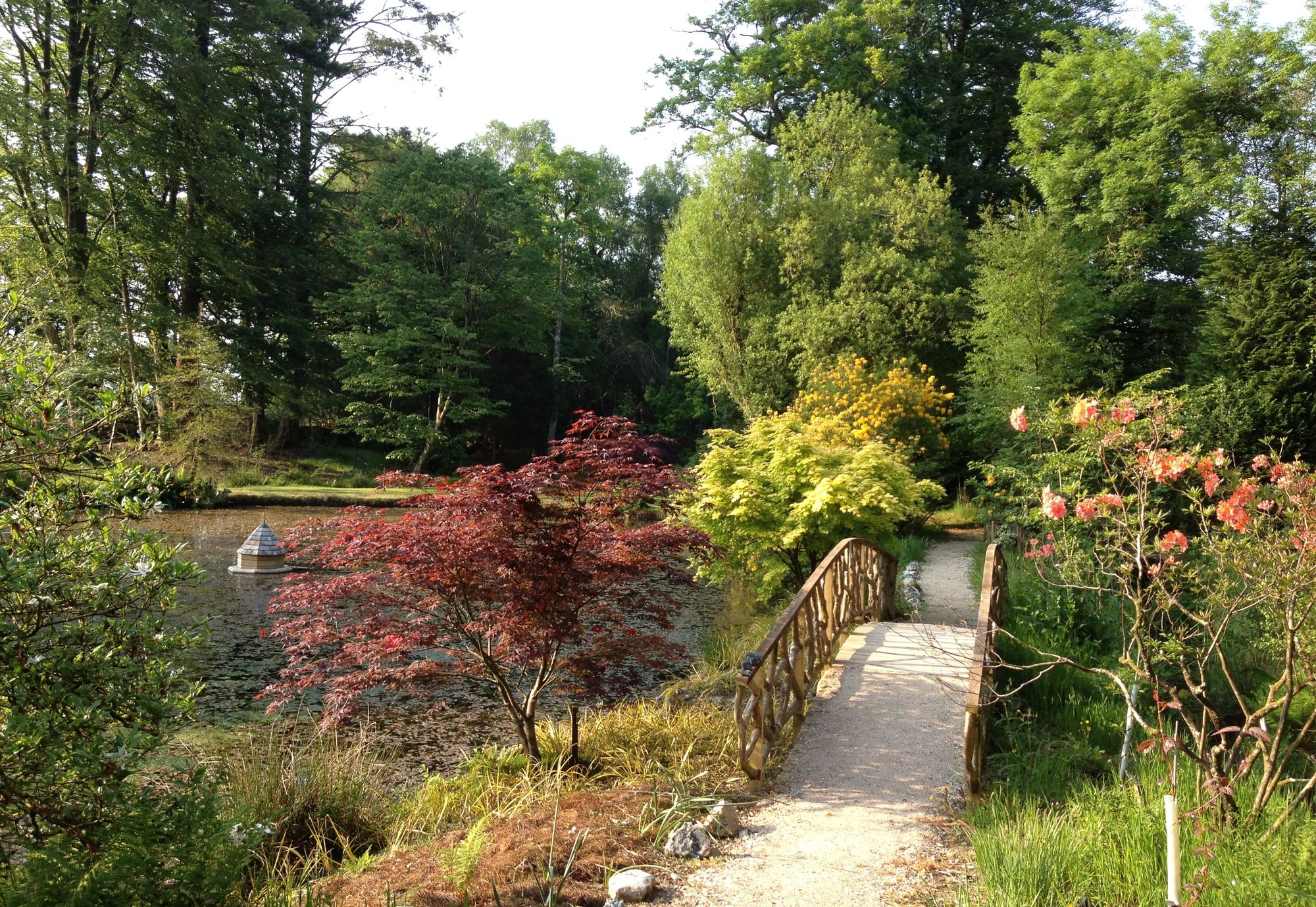 Gorgeous gardens open to public in support of Torquay hospice