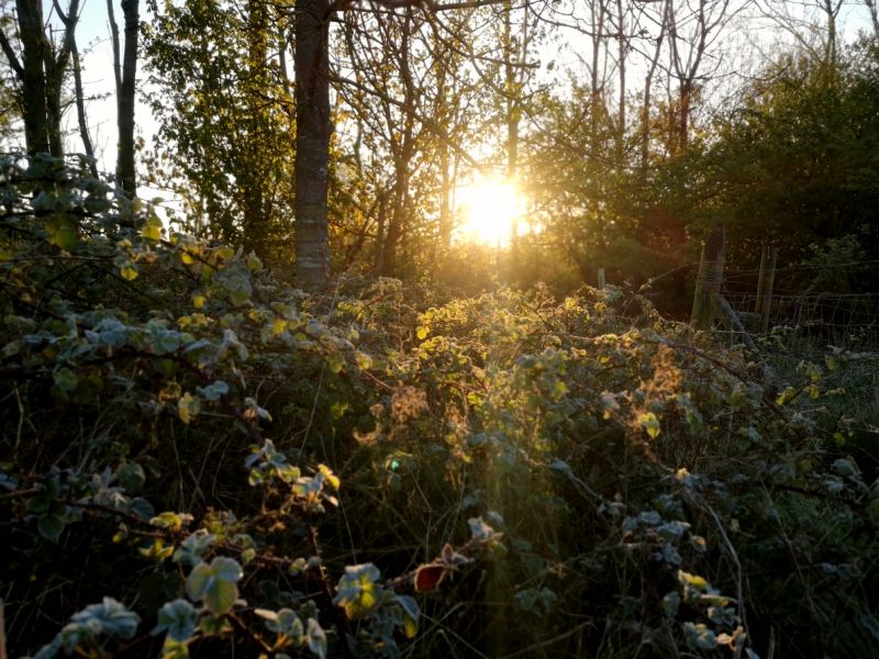 Wildlife: My nature prescription