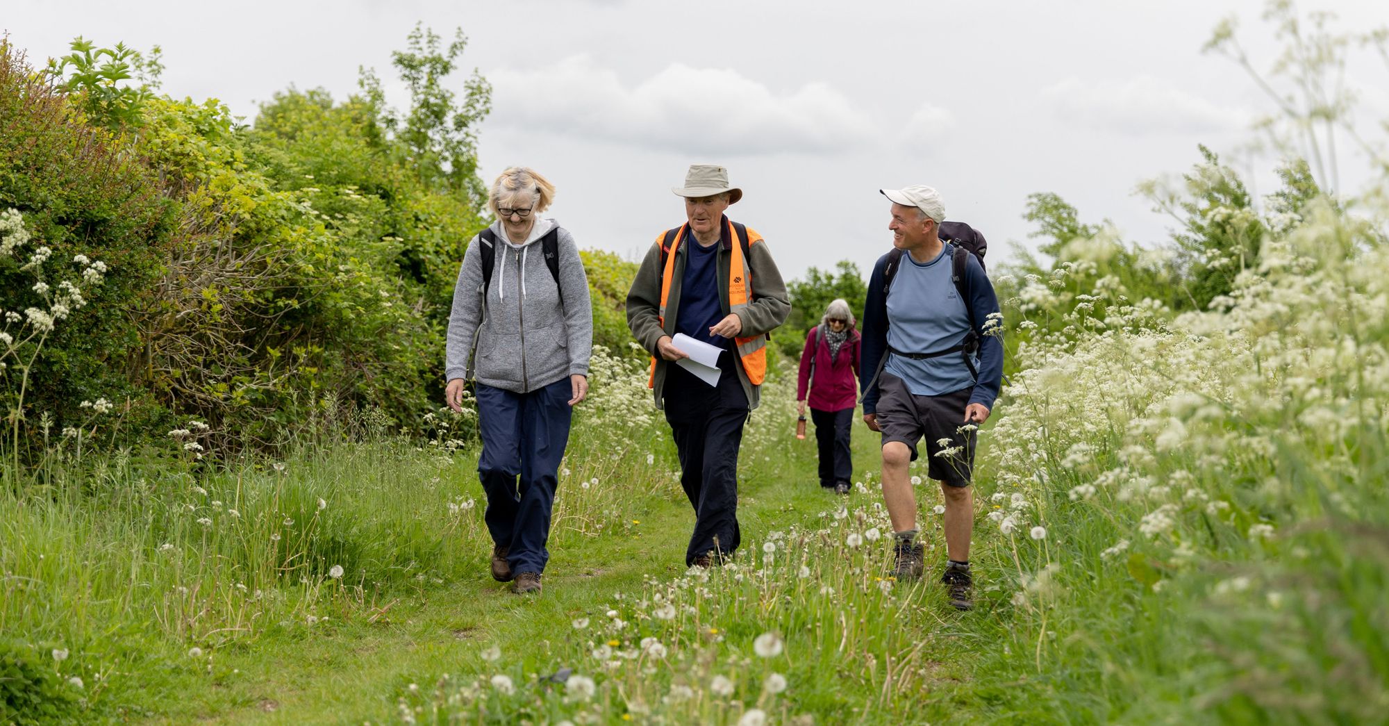 National Forest Walking Festival to offer more than 80 walks as it marks 14th year