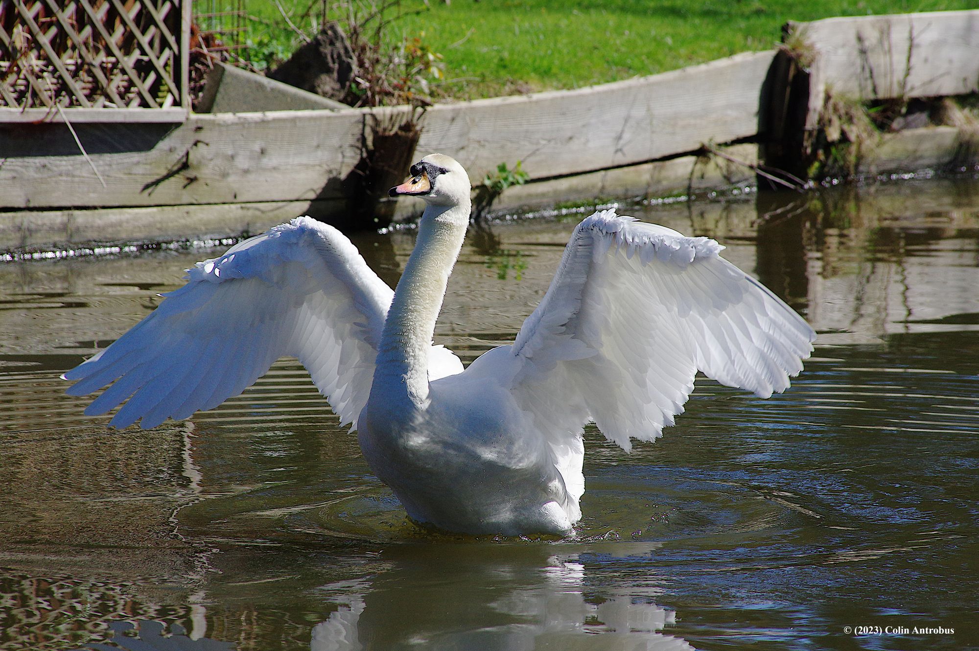 Scene By You Ormskirk - May 11: Pictures of West Lancashire captured by local photographers