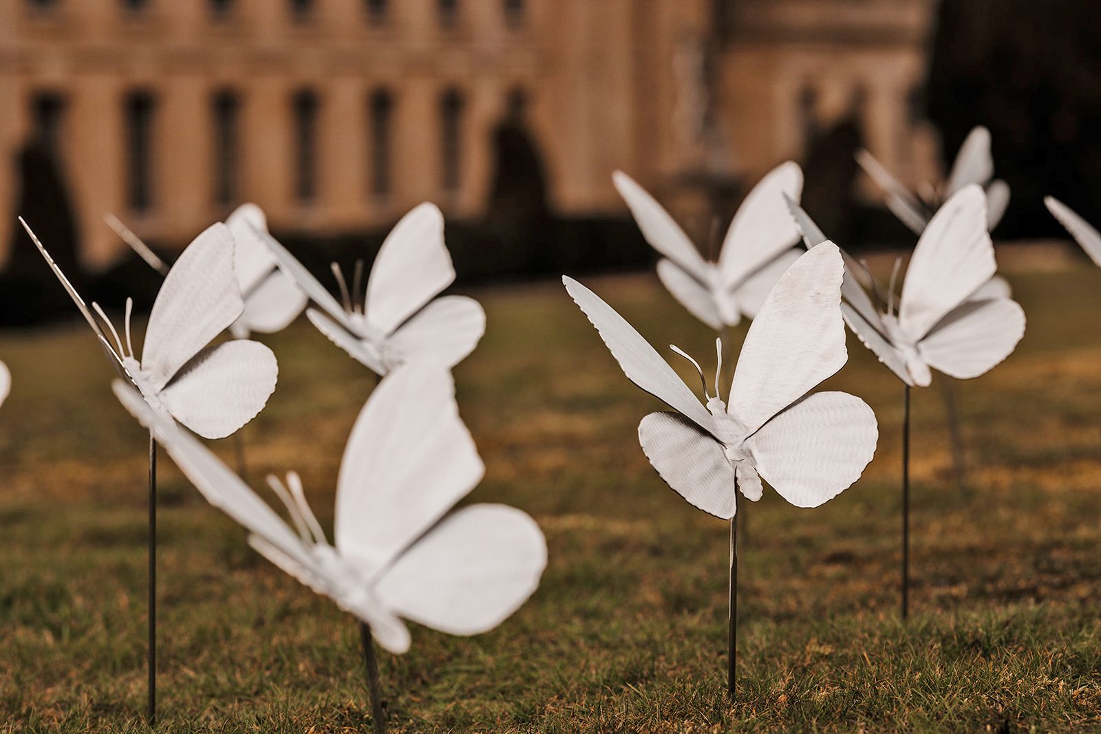 'Stunning and incredibly poignant' remembrance display to be unveiled at Chatsworth