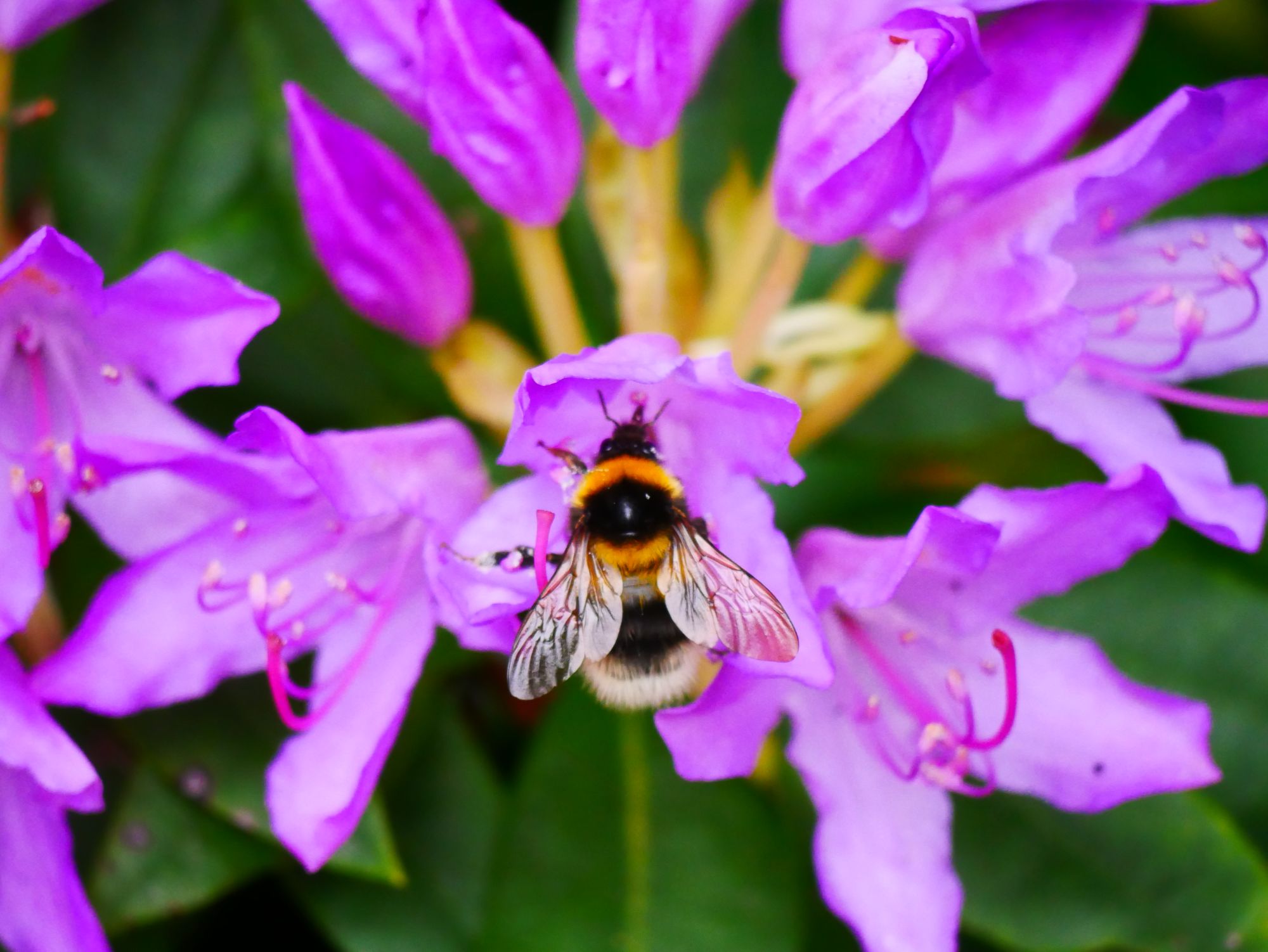 Scene By You Ormskirk - May 18: Pictures of West Lancashire captured by local photographers