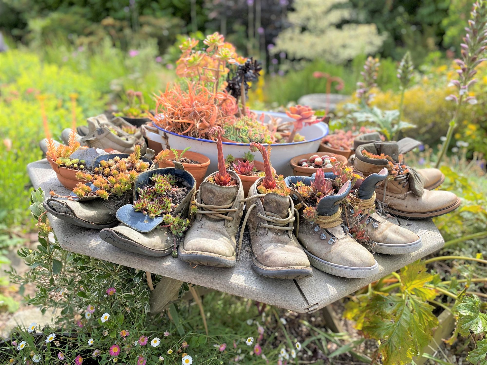 Could you be the next Rushmoor in Bloom winner?