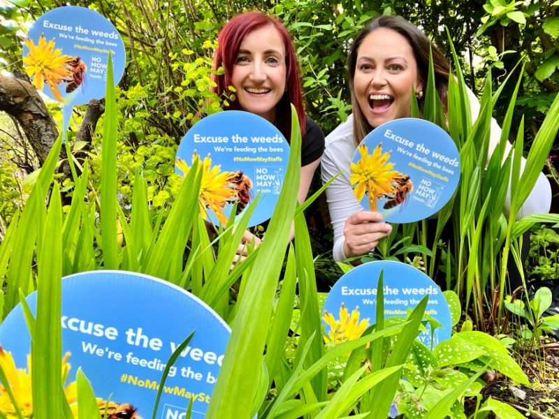 Staffordshire gardeners urged to 'lock up lawnmowers' for No Mow May