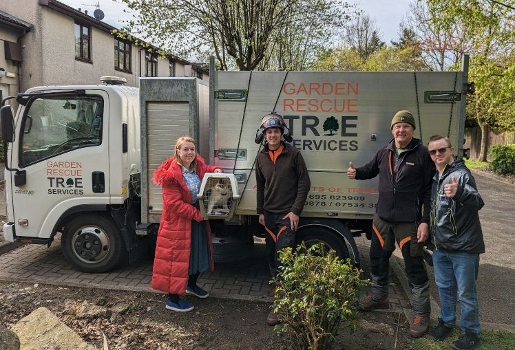 Kind-hearted tree surgeons applauded for rescuing stranded cat