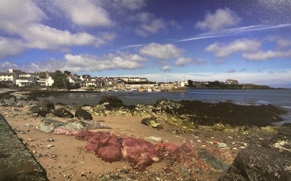 What's on in North Wales from Saturday, May 20 to Friday, May 26