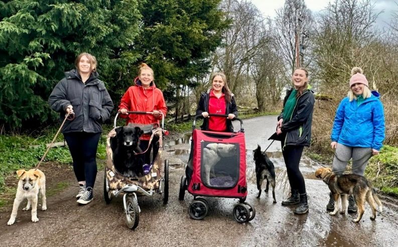 Bolton team knuckle down to help spruce up dog rescue centre