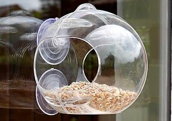 How to get your hands on a free clear bird feeder this summer with this cashback deal