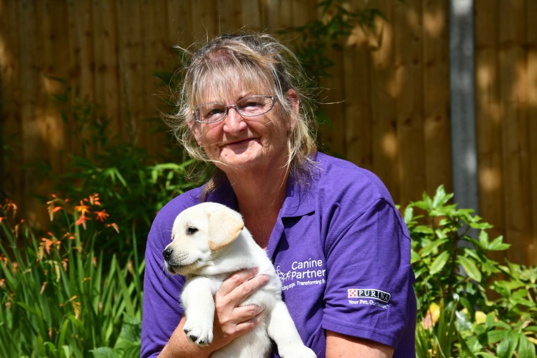 Puppy Parent volunteers urgently needed to help train assistance dogs in Leicestershire