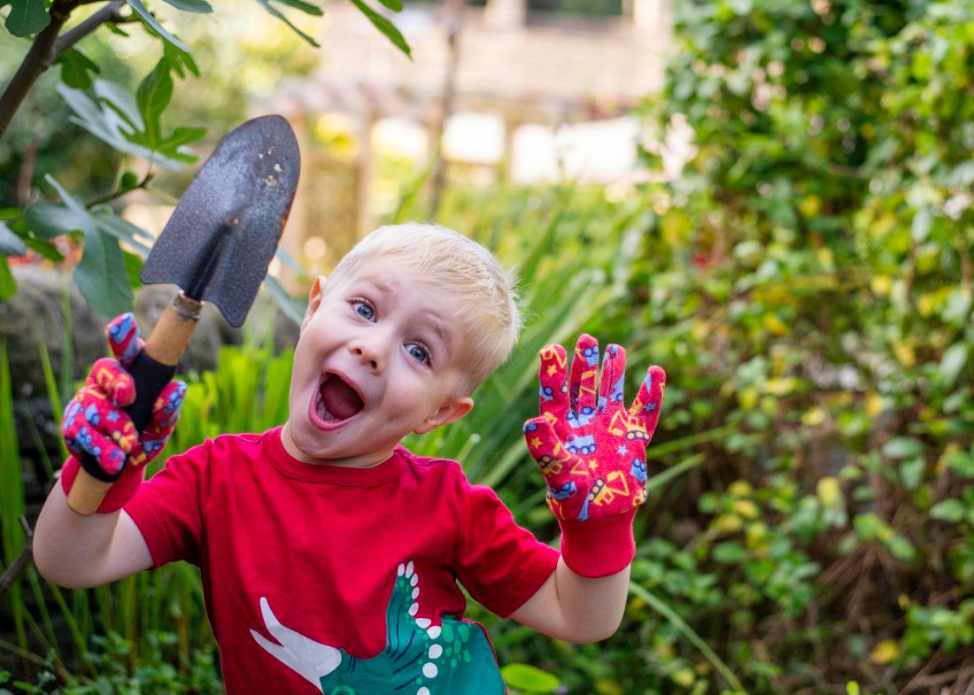 Connect with nature every day in June as part of fun wildlife challenge