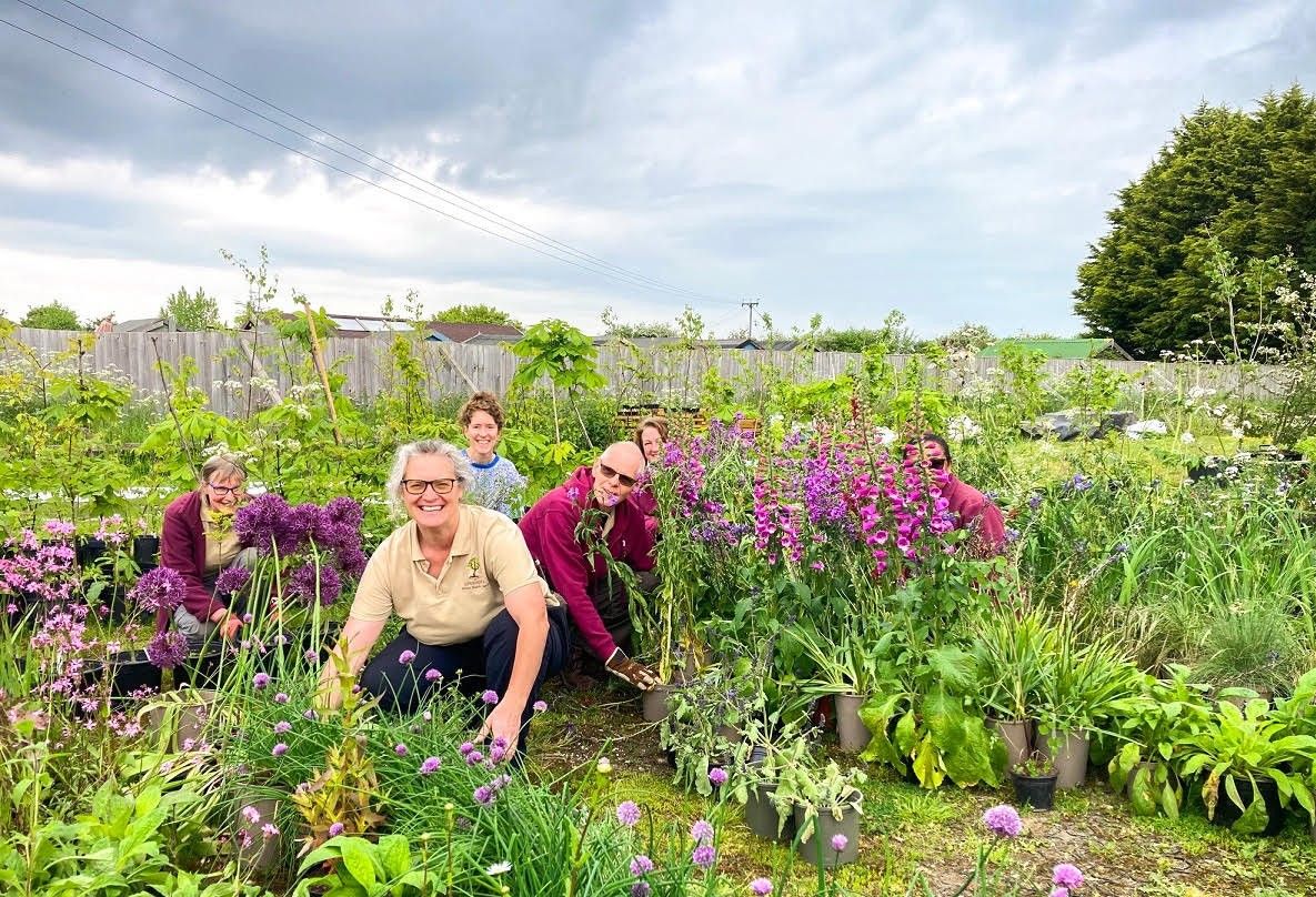Over 700 plants, trees and shrubs from RHS gold garden gifted to community