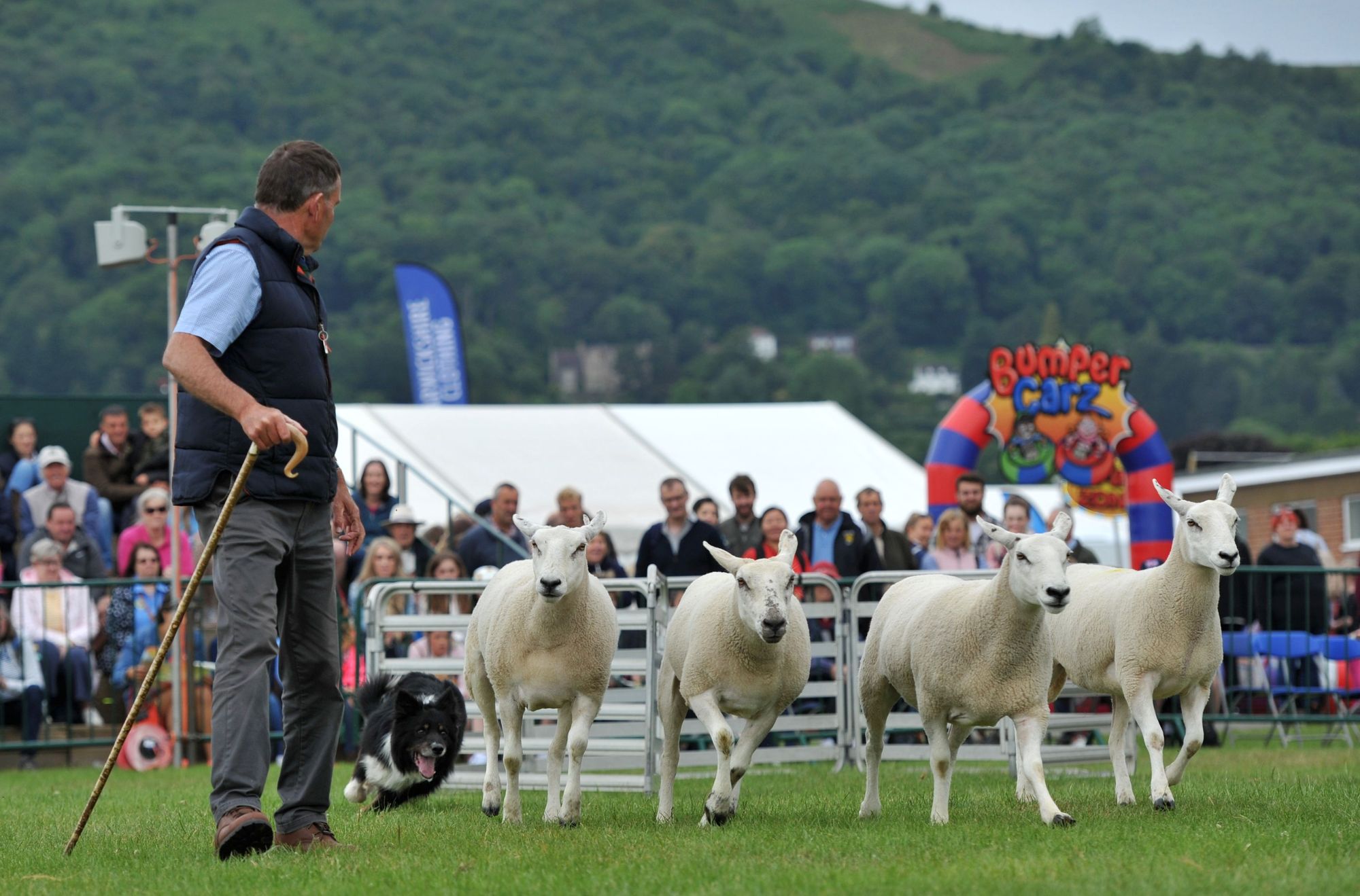 Head to Royal Three Counties Show for lots of Father's Day fun