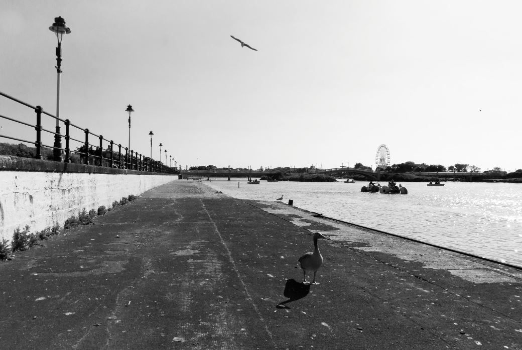 Scene By You Ormskirk - June 8: Pictures taken by local photographers