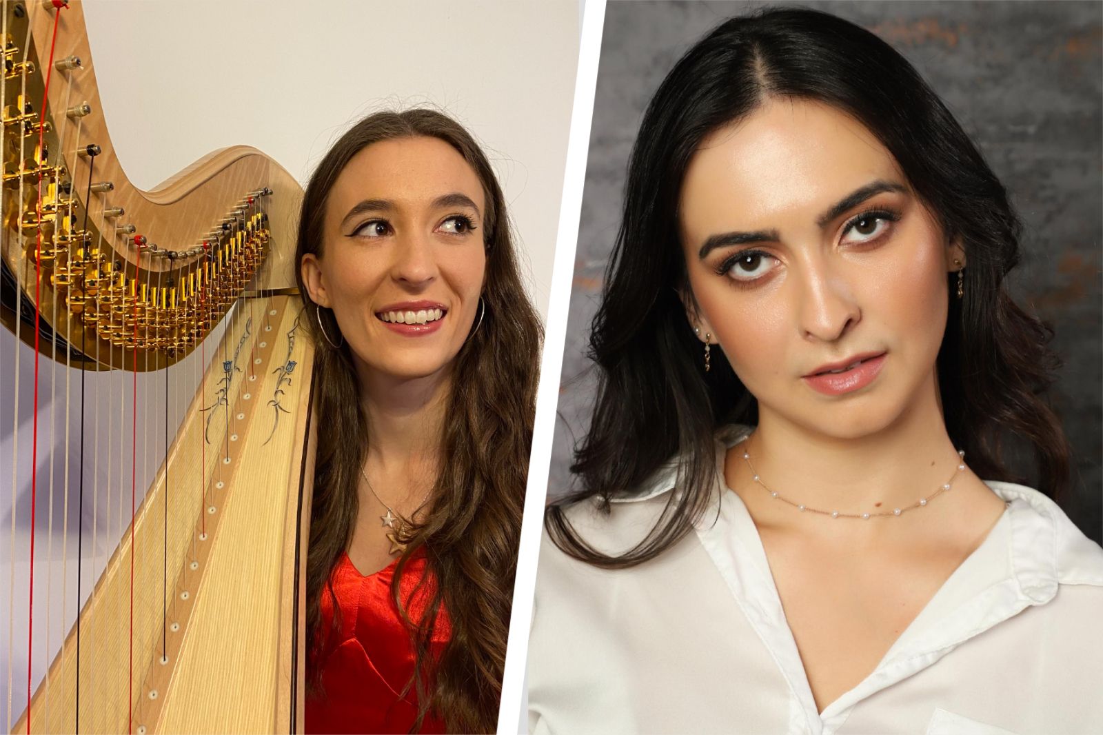 Final of John Fussell Award for Young Musicians to be held in Swansea