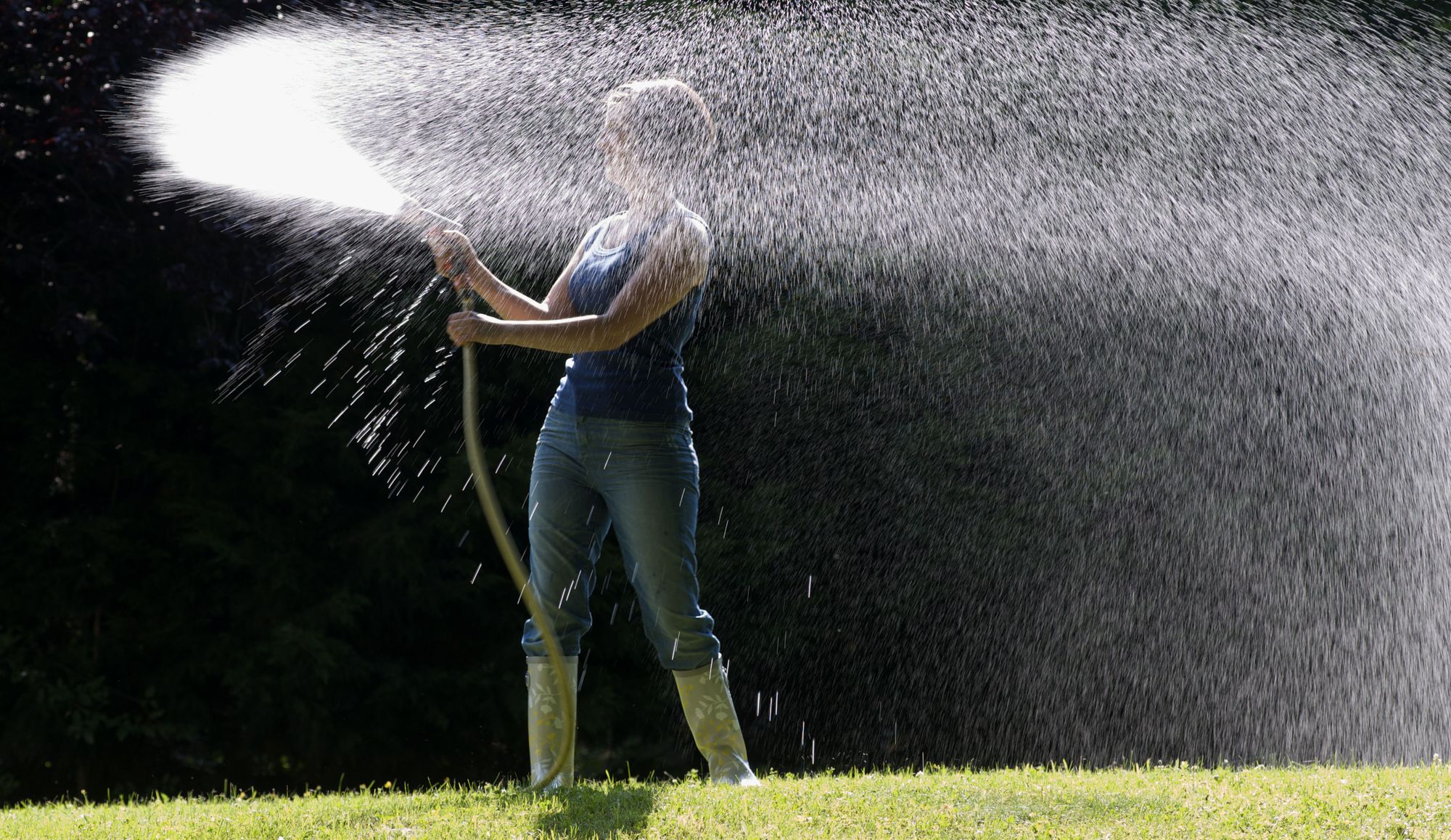 How to help your lawn beat the heat with these 'simple' expert tips