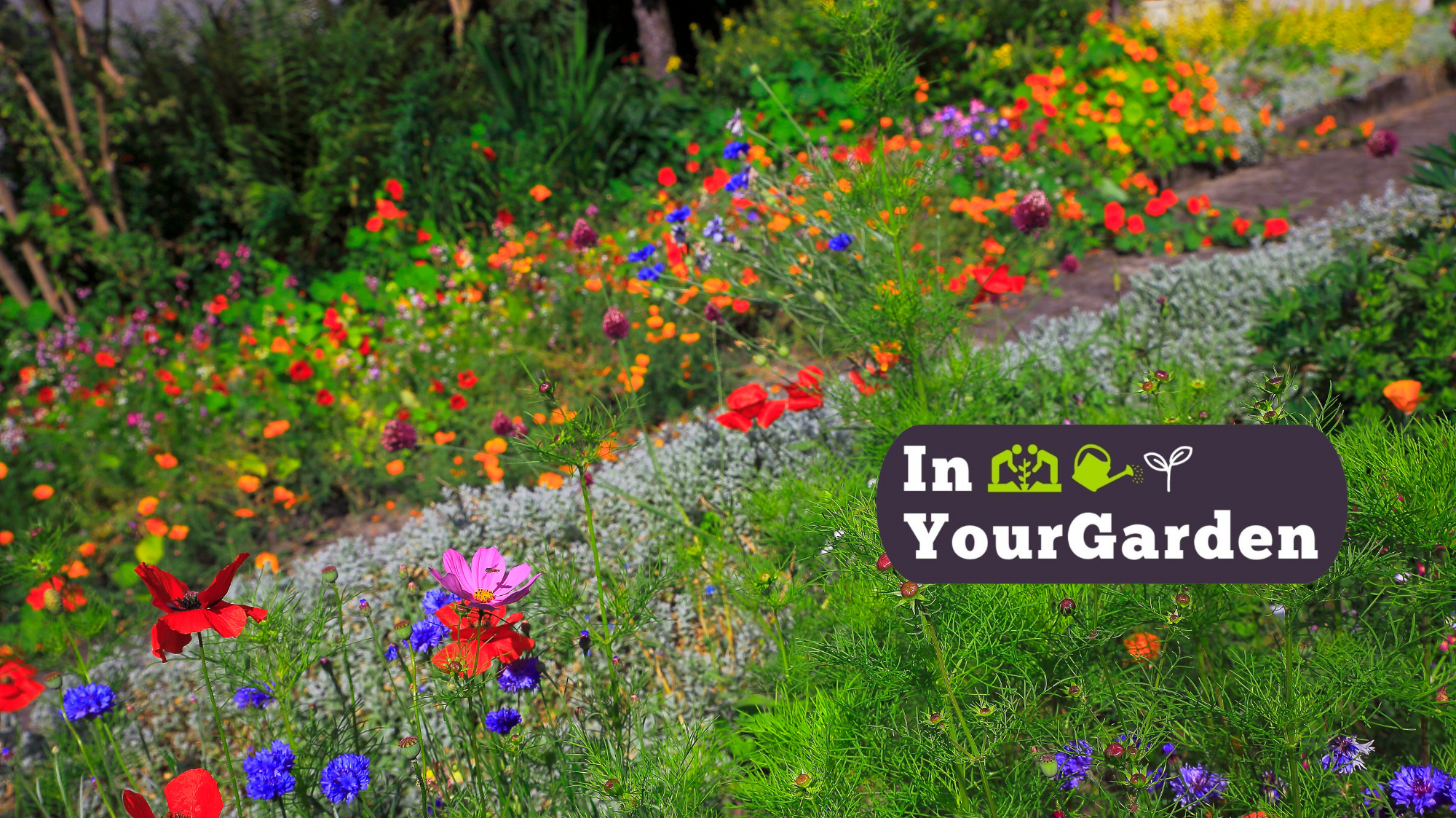 Creating a garden that's your version of paradise