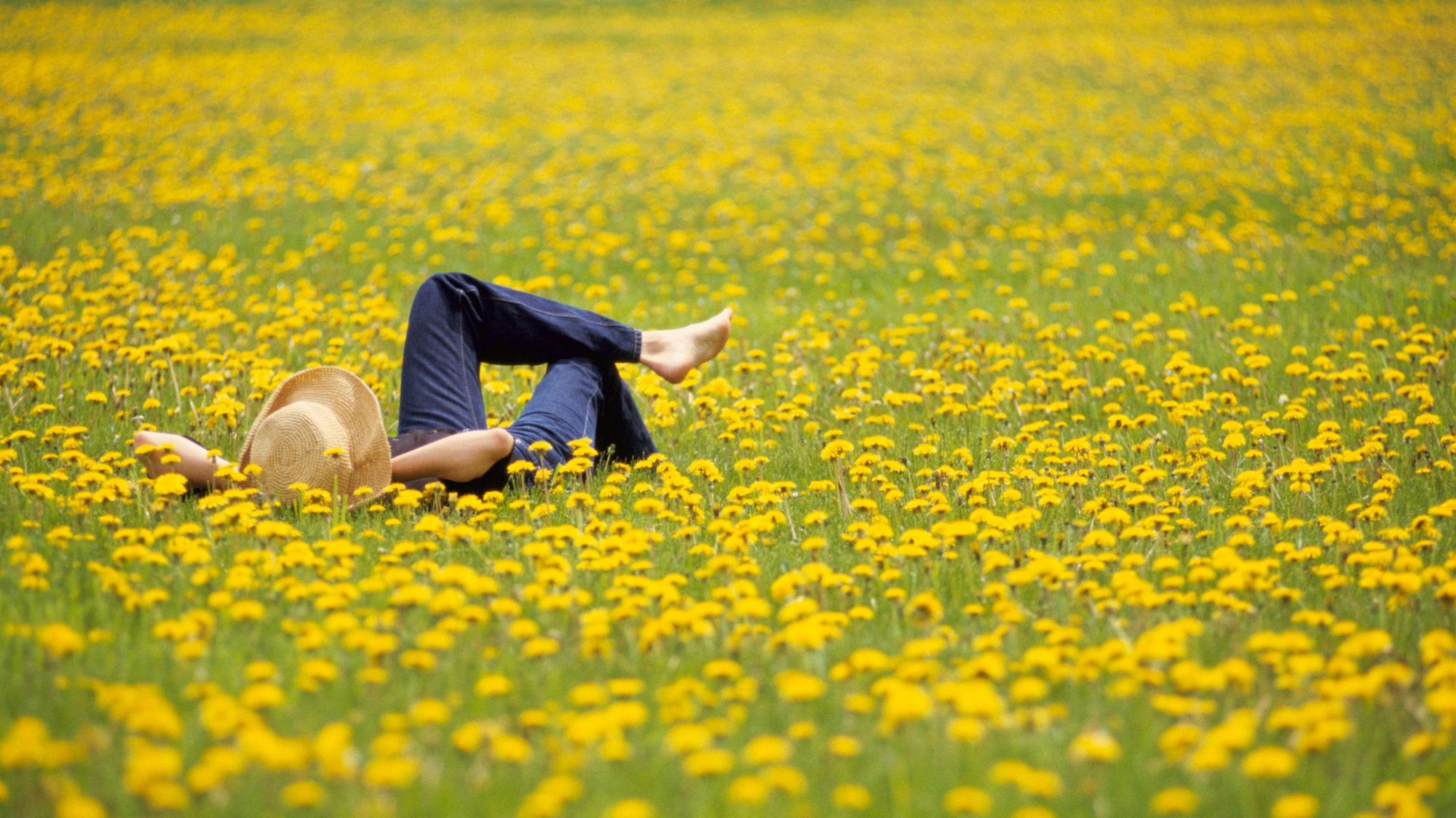 Spend a little less time weeding and go wild in your garden