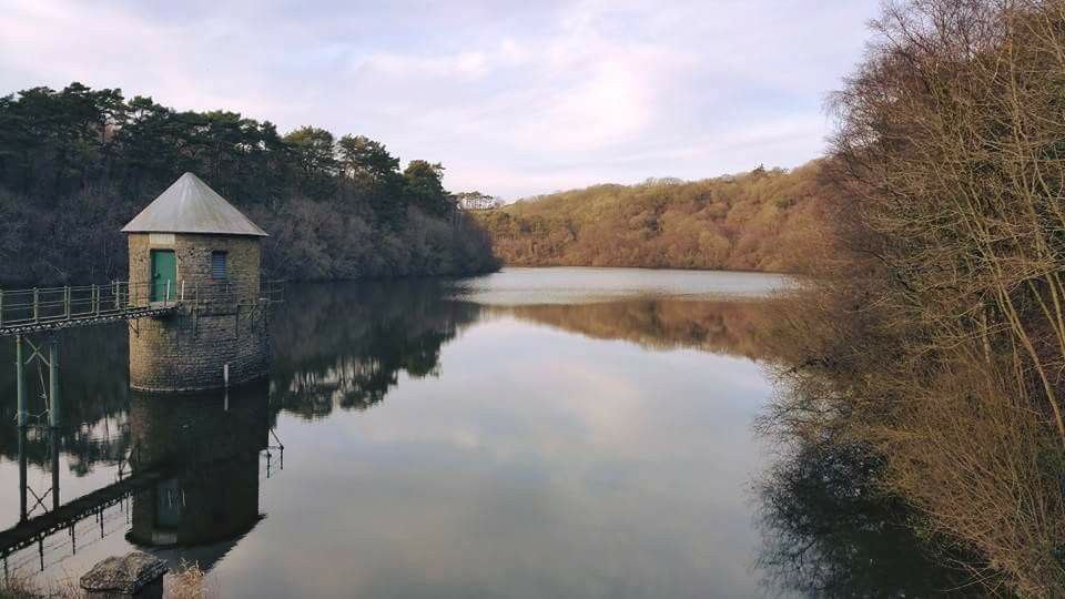 Welsh Water and Dyfed-Powys police warn of dangers of swimming in Llanelli’s Swiss Valley reservoir