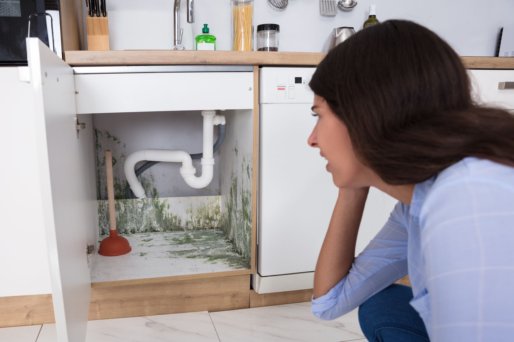 How to prevent and remove black mould - as summer heat creates perfect breeding ground