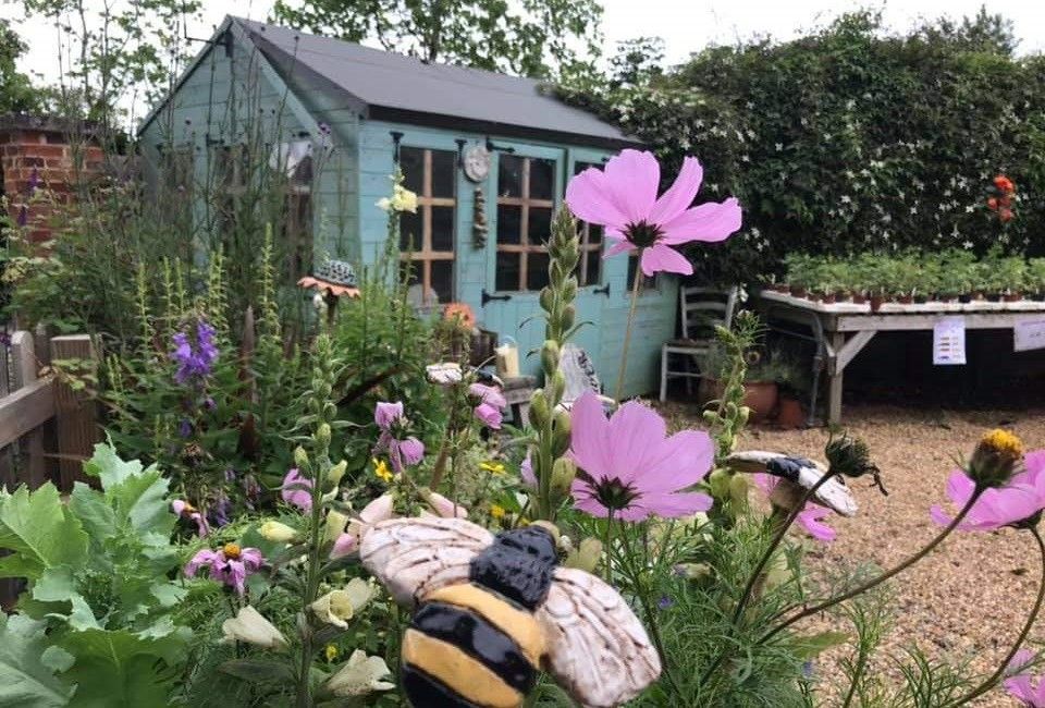 Garden centre in Ugley run by learning disabled people welcomes the local community