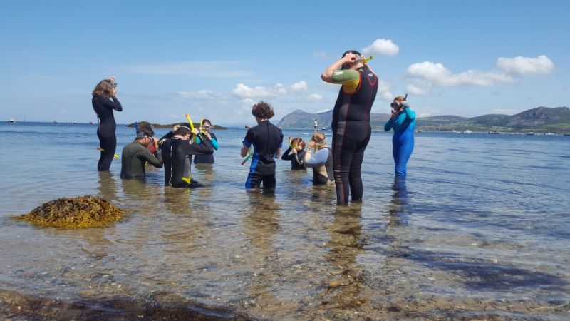 Young environmentalists sought for conservation opportunity in North Wales