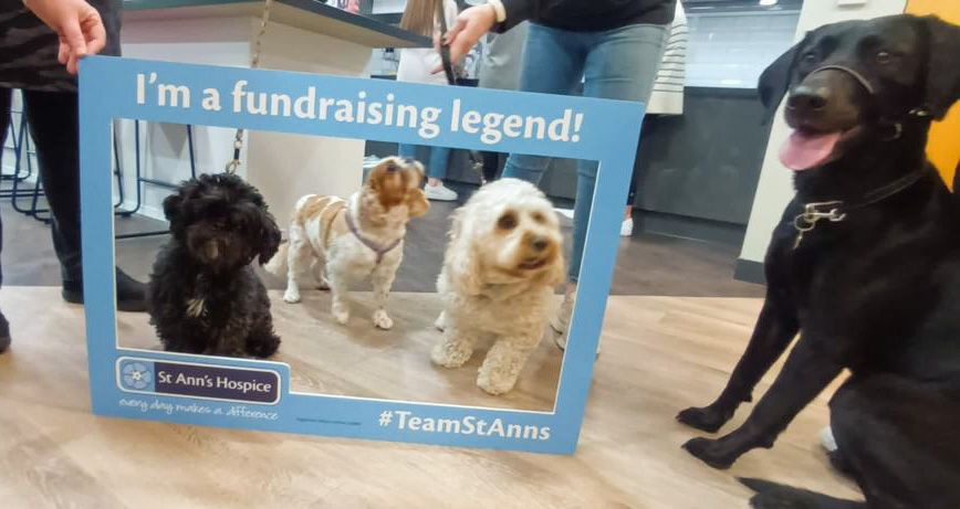 Who let the dogs in? Bring your dog to work day at Pure offices to raise money for St Ann’s Hospice!